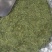四川雅安【蒙顶山茶】竹叶青蒙顶甘露品质保证欢迎咨询