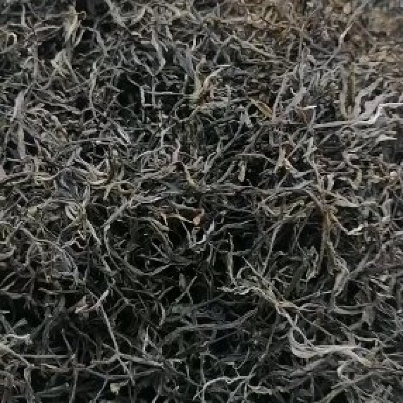 普洱茶，好茶不贵