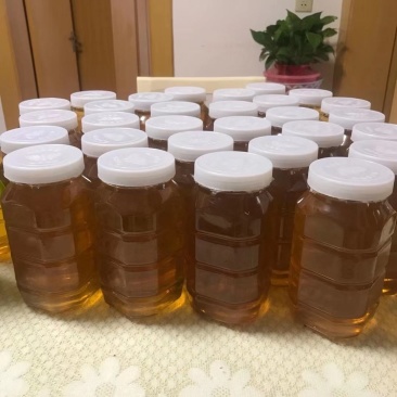 蜂蜜