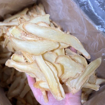 中号天麻切片