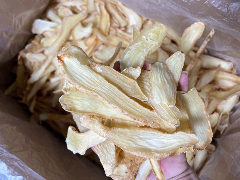 中号天麻切片