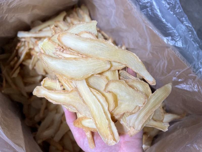中号天麻切片