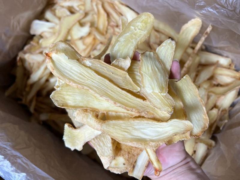 中号天麻切片