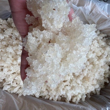 雪燕