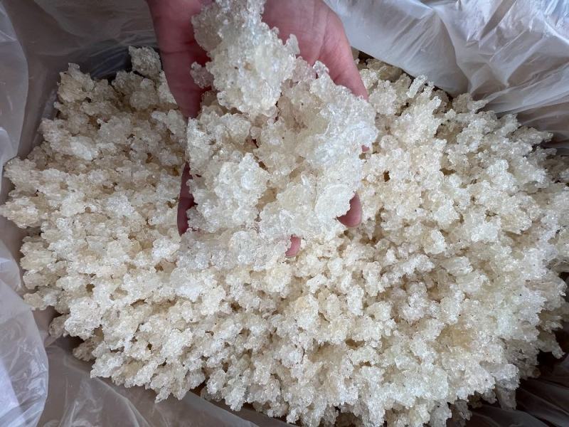 雪燕