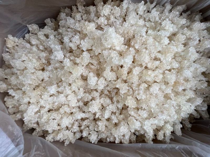 雪燕