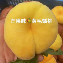黄金蟠桃,北京平谷自家桃园，香甜软糯，汁水充足.7月20