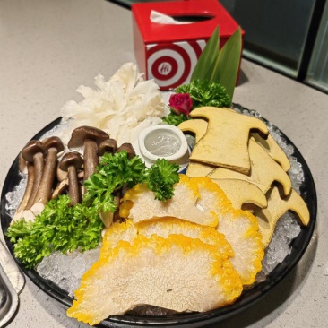 牛肝菌