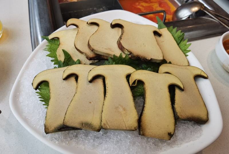 牛肝菌