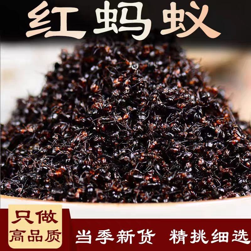 正宗红蚂蚁长白山红蚂蚁250克蚂蚁中药材泡酒红蚂蚁干