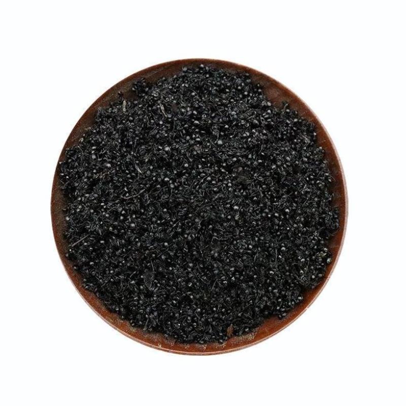 野生黑蚂蚁干广西正品拟黑多刺蚁大黑蚂蚁干货泡酒蚂蚁粉