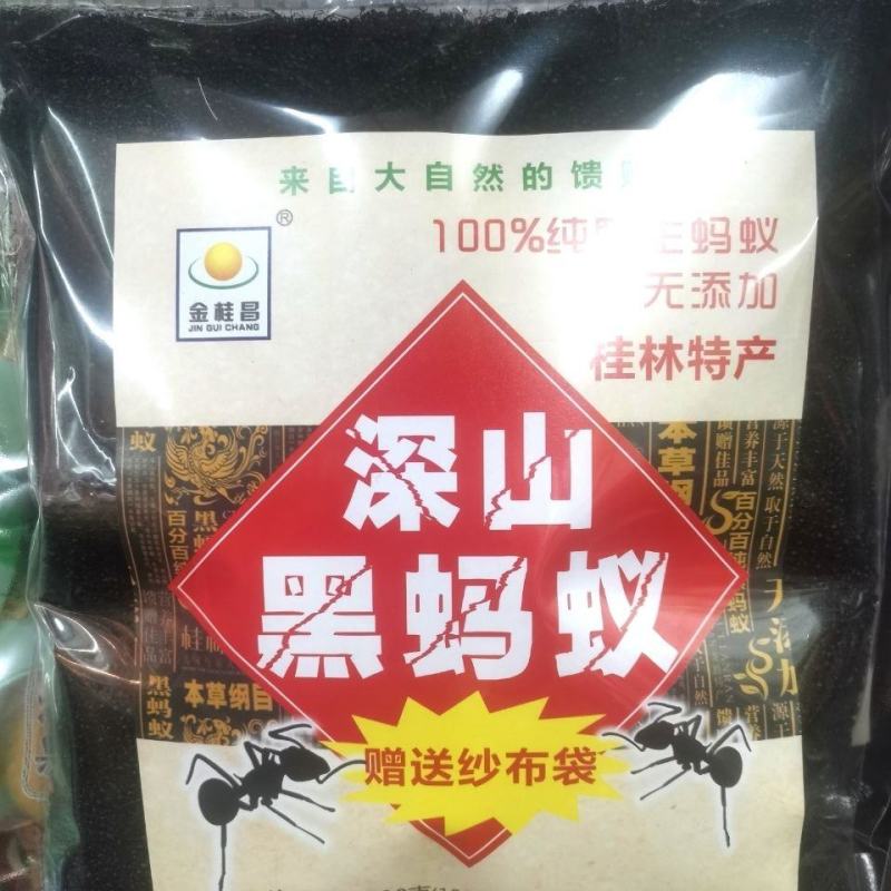 野生黑蚂蚁干广西正品拟黑多刺蚁大黑蚂蚁干货泡酒蚂蚁粉