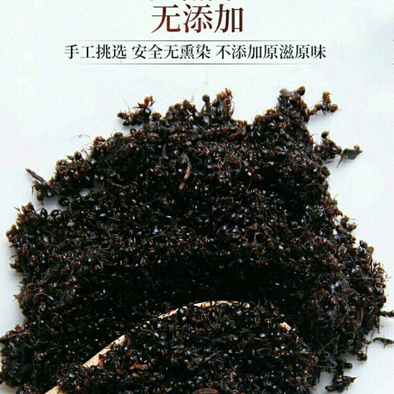 野生黑蚂蚁干广西正品拟黑多刺蚁大黑蚂蚁干货泡酒蚂蚁粉