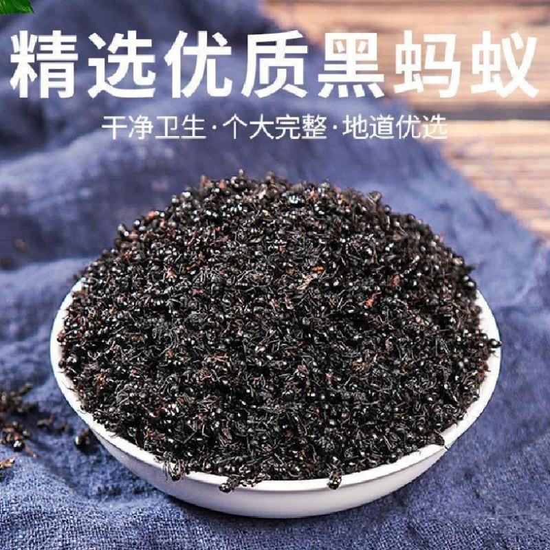 野生黑蚂蚁干广西正品拟黑多刺蚁大黑蚂蚁干货泡酒蚂蚁粉