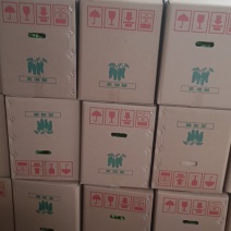 新优虎皮椒