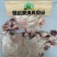 精修牛窝骨筋纯干，牛窝骨，棒骨筋，厂家直供保质保量