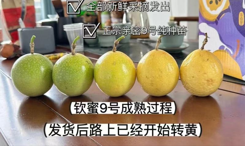 百香果钦蜜9号