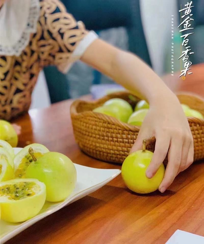百香果钦蜜9号