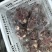 原切牛肉粒出成高，口感好，厂家直供一手货源欢迎下单！