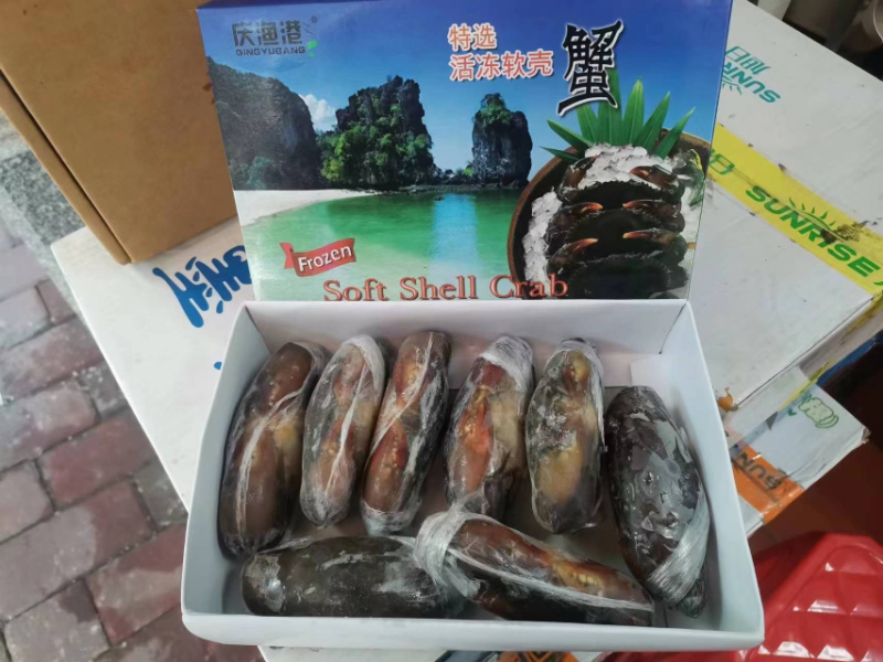 软壳蟹