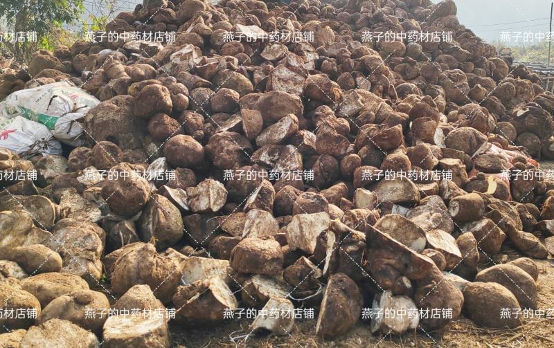 山乌龟提取物（罗通定精粉），厂家直营，量大从优欢迎咨询