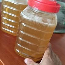 江西宜春精品土蜂蜜，价格真实品质保证产地直发