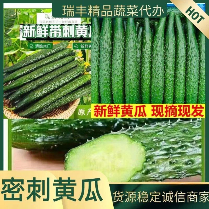 【密刺黄瓜】山东兰陵黄瓜规格齐全对接各大市场，电商