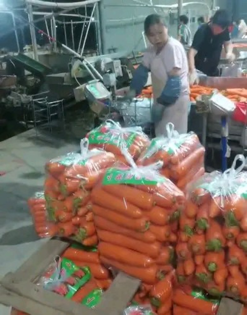 红萝卜
