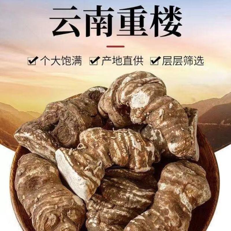 中药材重楼片七叶一枝花中草药材蚤休草河车重楼