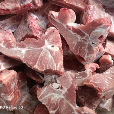 多肉龙骨块一件20斤现货批发