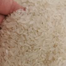 东北大米五常稻花香新米货源稳定量大欢迎咨询