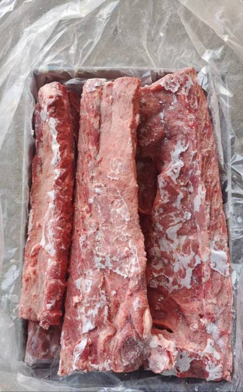 多肉龙骨块一件20斤现货批发