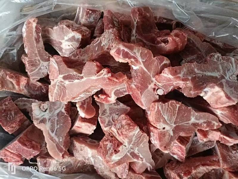 多肉龙骨块一件20斤现货批发