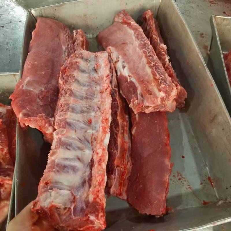 多肉龙骨块一件20斤现货批发