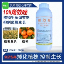 剑牌剑丰园10%烯效唑悬浮剂柑橘树控梢控旺植物生长调节剂