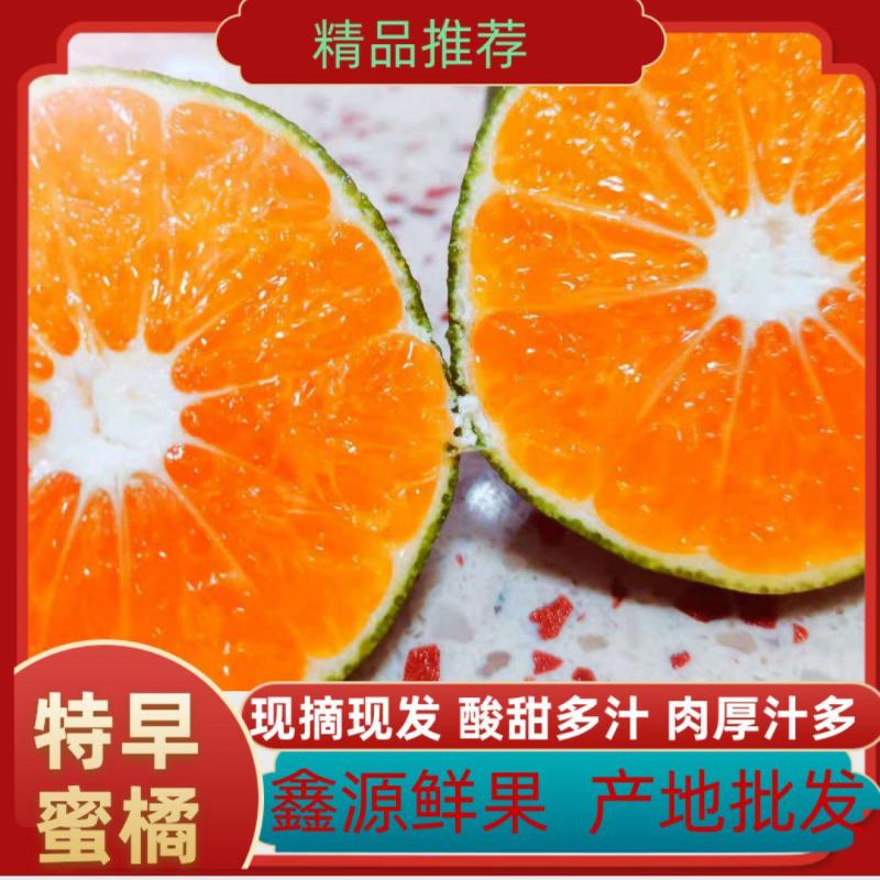 特早蜜橘薄皮化渣，电商货市场货全国可发车