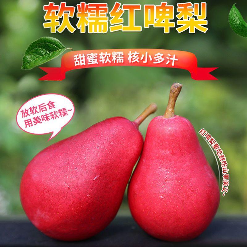 新鲜红啤梨当季节水果香甜软糯多汁（5斤1件包邮）