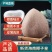 新鲜新货椰子皇天然海底椰皇青王干椰子肉煲炖汤材料甜品糖水