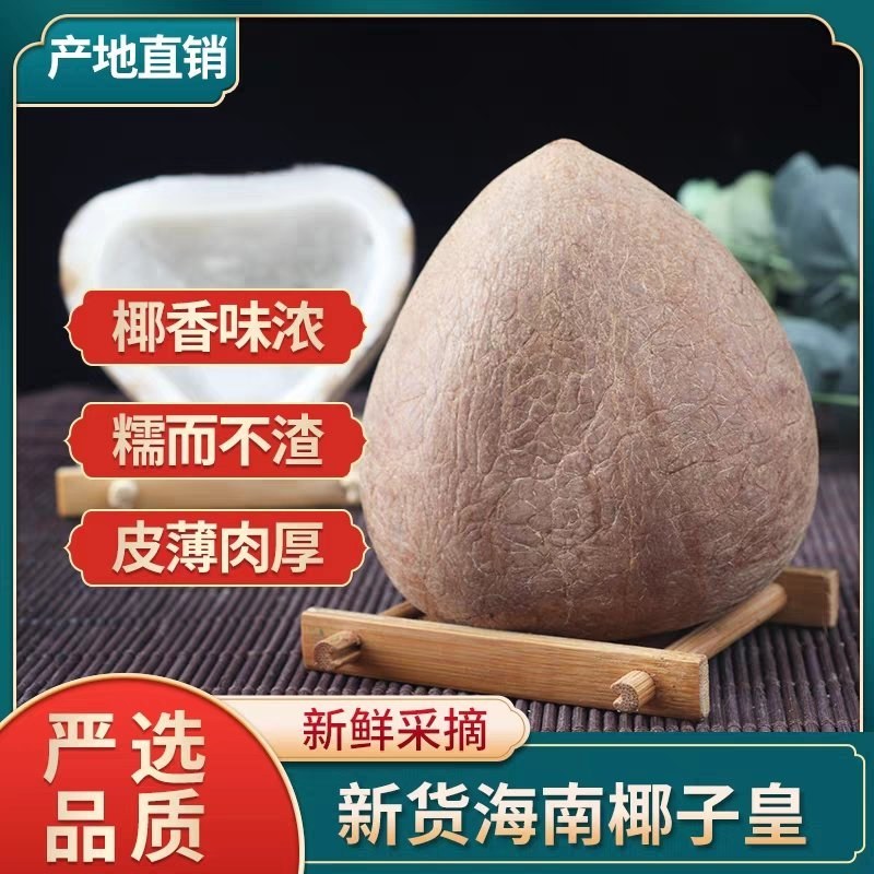 新鲜新货椰子皇天然海底椰皇青王干椰子肉煲炖汤材料甜品糖水