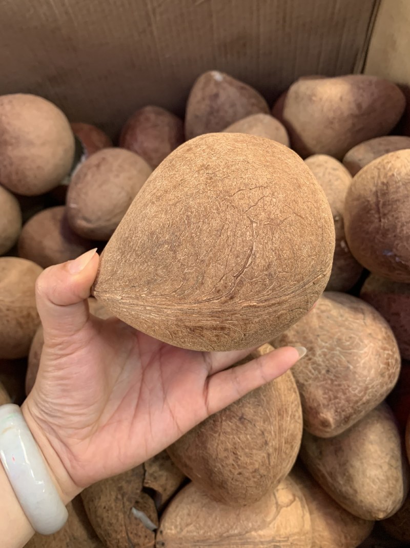 新鲜新货椰子皇天然海底椰皇青王干椰子肉煲炖汤材料甜品糖水