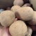 新鲜新货椰子皇天然海底椰皇青王干椰子肉煲炖汤材料甜品糖水