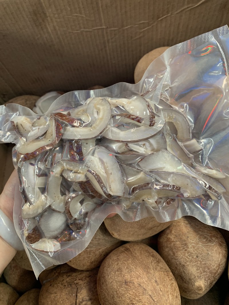 新鲜新货椰子皇天然海底椰皇青王干椰子肉煲炖汤材料甜品糖水