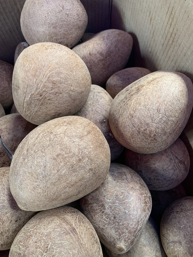 新鲜新货椰子皇天然海底椰皇青王干椰子肉煲炖汤材料甜品糖水
