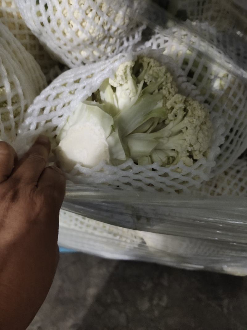 青梗，白面有机花，万亩蔬菜基地，要的抓紧联系诚信合作，