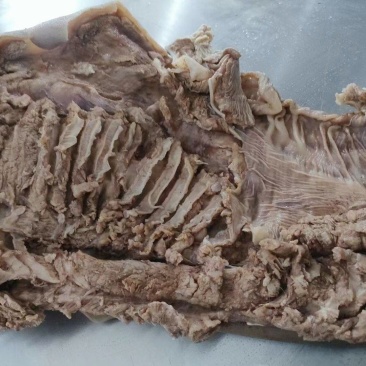 精选蒙古国熟羊肉品质保证-量大从优-源头货-可零售批发