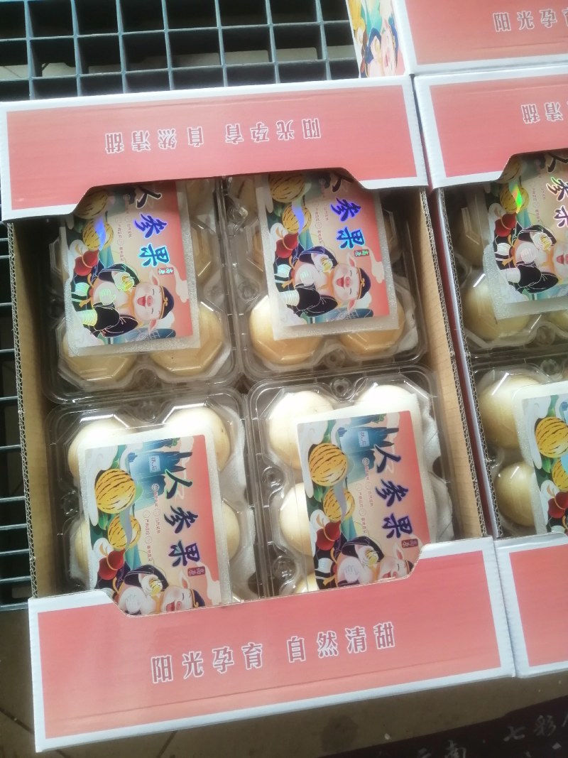 石林人参果开始上市了，累了一天，来一口甜甜的人参果
