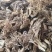 珊瑚菌，扫把菌.扫把菇，野生鹿茸菇，野生菌源产地批发，