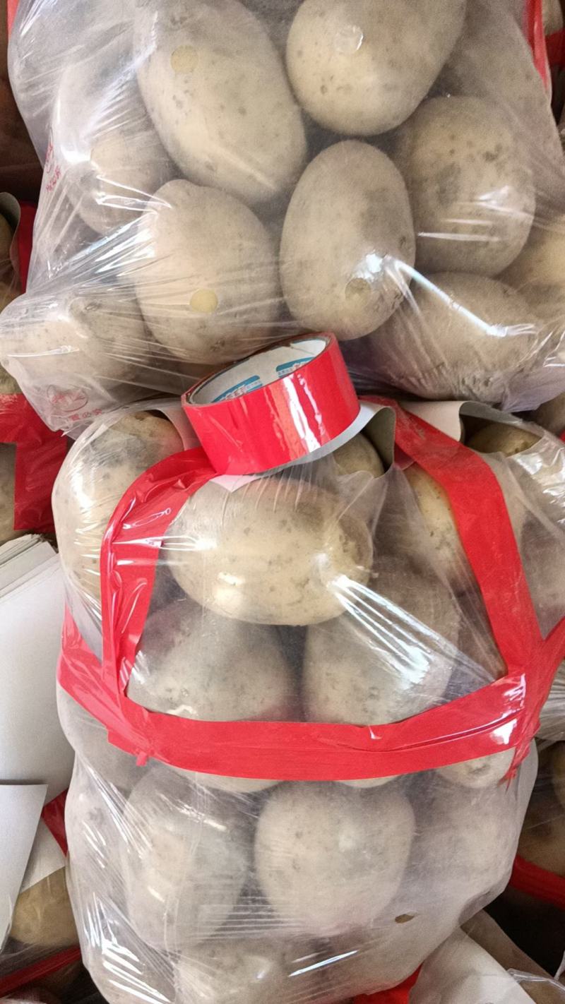 精品土豆3两起步