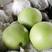 产区绿宝石梨，价格便宜，质量好，甜度高，