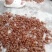 蝉蜕大量野生蝉蜕大量有货280一斤